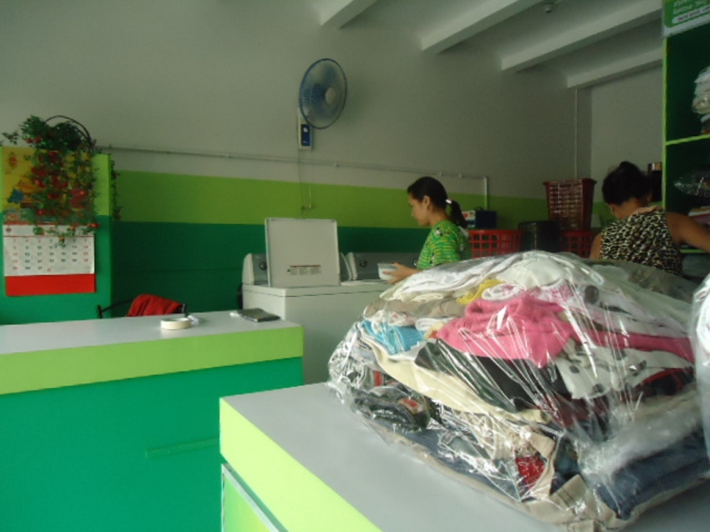 How to Make your Laundry Business Green