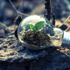 Owing the Road to Exponential Growth