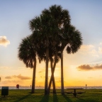 Ecotourism in Florida: 4 Parks to Relax and Have a Picnic
