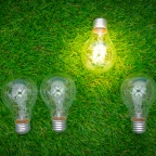 Green Business Ideas For Eco-Conscious Entrepreneurs