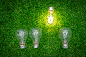 Green Business Ideas For Eco-Conscious Entrepreneurs